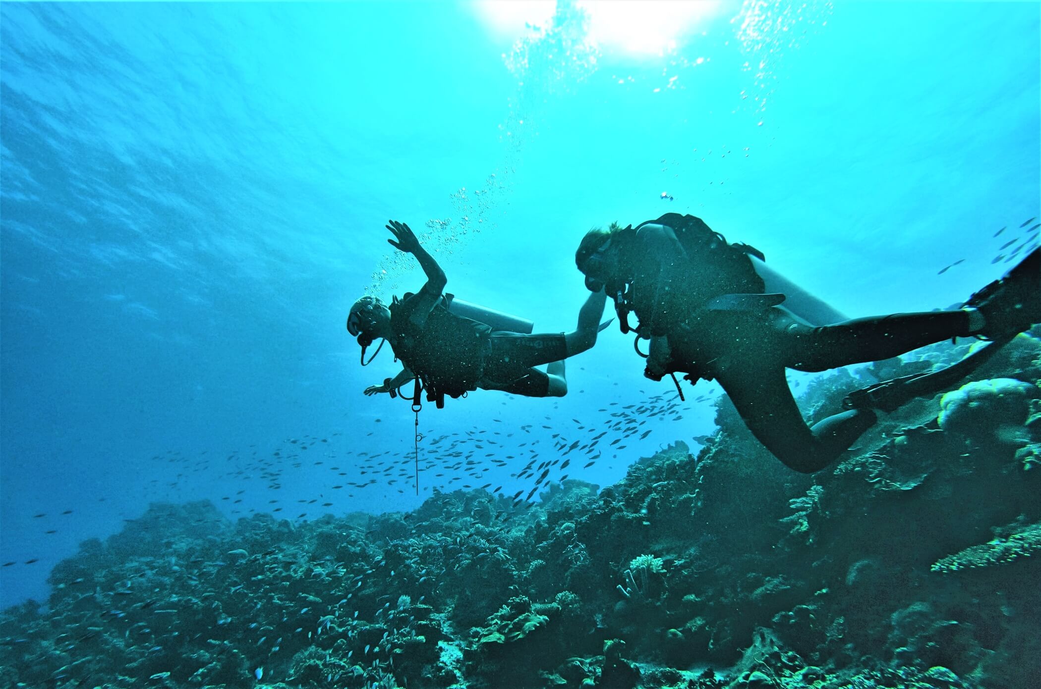 Diving expedition in Mozambique’s clear waters Divers exploring coral-rich waters off the coast of Mozambique, surrounded by vibrant marine life.